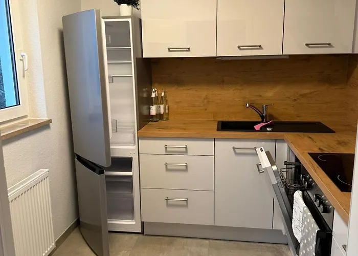 Gemuetliche 1-raum-wohnung In Dresden-friedrichstadt Apartment